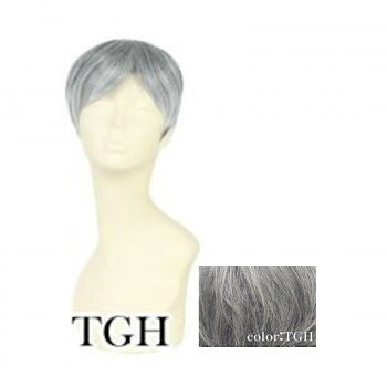 プリシラ 男性用5分ウィッグ ミディアムショート 耐熱 グレイヘア GB-24-TGH 髪 髪の毛 ヘアー 頭皮 美容 抜け毛 枝毛 | 関連単語 髪質ケア くし ヘアピンセット ヘアゴムセット ヘアアレンジ まとめ髪 ヘアメンテ ヘアメイク 髪ケア用品 美容雑貨 美容グッズ｜創造生活館