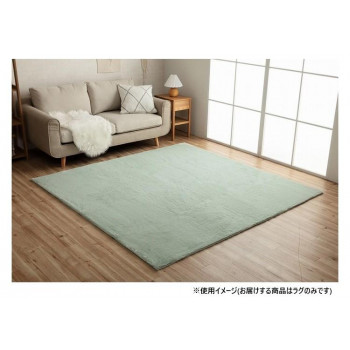 にんき 一般受け おすすめ 定番 冬  春 孫 冬 新生きて行く 差し上げ物 寒さ 打つ手 差し上げ物 ラピアス 引っ敷き 200×200糎 PGN 3987959
