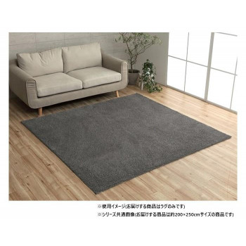 にんき 人気 おすすめ 定番 冬 春 孫 冬 新生活 ギフト 寒さ 対策 プレゼント ミックスパイル ラグ 約3畳 約200&times;250cm ホットカーペット対応 グレー 3985439 インテリア | 関連単語 観葉植物 ラグ クッション 北欧 シンプル ソファ モダン テレビ台 ベッド｜創造生活館
