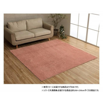 にんき 人気 おすすめ 定番 冬 春 孫 冬 新生活 ギフト 寒さ 対策 プレゼント ミックスパイル ラグ 約3畳 約200&times;250cm ホットカーペット対応 ローズ 3985559 インテリア | 関連単語 水彩画 壁掛け 時計 ラグ ソファ 棚 シンプル 北欧 カーテン テーブル 木製｜創造生活館 27,370円