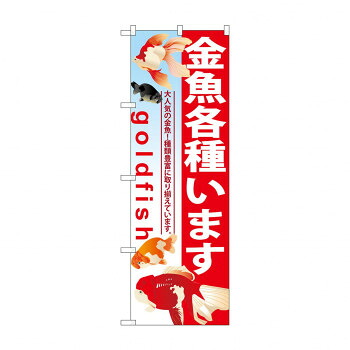 にんき 人気 おすすめ 定番 冬 春 孫 冬 新生活 ギフト 寒さ 対策 プレゼント のぼり GNB-581 金魚各種います 店舗 用品 飲食 | 関連単語 飲食店グッズ テーブルマット シュガーポット 店舗什器 アルコールスプレー オーダー用紙 カード立て 割り箸 コースター