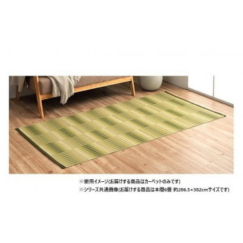 にんき 一般受け おすすめ 定番 冬  春 孫 冬 新生きて行く 差し上げ物 寒さ 打つ手 差し上げ物 日本製 洗える引っ敷き 緑であること 本間6畳 約286.5×382糎 1090580121902 室内装飾 | かかわり合い言葉 布切れ 窓かけ 時刻表 棚 立ち会い場ともし火 仕合わせ 腰掛け 貼り出し