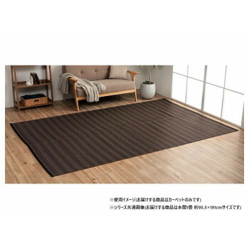 日本製 ダイニングラグ 除菌スプレー ブラウン 本間1畳 約95.5×191cm 1090031061502 掃除 洗濯 クリーニング ランドリー 浴室 キッチン 台所 用品| 関連単語 洗面 洗濯機 物干し フック 洋服 バケット 清掃 排水 ホース 洗濯機 スプレー ワイパー クロス 洗剤 かご