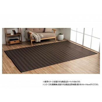 にんき 一般受け おすすめ 定番 冬  春 孫 冬 新生きて行く 差し上げ物 寒さ 打つ手 差し上げ物 日本製 洗えるい草調引っ敷き 赤銅色 団地間2畳 約170×170糎 1090031060202 室内装飾 | かかわり合い言葉 観葉草木 引っ敷き 座布団 北欧 分かりやすい 長椅子 今めかしい テレビ受像機台 臥榻