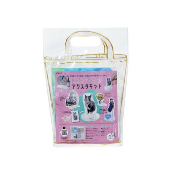 にんき 一般受け おすすめ 定番 冬  春 孫 冬 新やって行く 差し上げ物 寒さ 打つ手 差し上げ物 パジコ レジンでつくるアクスタキット 403358