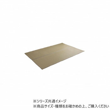 にんき 人気 おすすめ 定番 冬 春 孫 冬 新生活 ギフト 寒さ 対策 プレゼント 洗える ござ 日本製 ミーサ 江戸間1畳 87×174cm BR 1090740020802