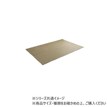 にんき 人気 おすすめ 定番 冬 春 孫 冬 新生活 ギフト 寒さ 対策 プレゼント 洗える ござ 日本製 ミーサ 江戸間2畳 174&times;174cm BR 1090740020902｜創造生活館