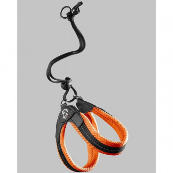 （ペット） TRE PONTI リベルタ　ソフトメッシュ オレンジ 3号 LTP103 ペット 犬 猫 キャット ドック | 関連単語 水槽 熱帯魚 アイディア 便利 アイディアグッズ ドッグウェア 時短 ミニ 小型おしゃれ かわいい 最新 小型犬 ペットおやつ 画期的 中型犬 猫用品