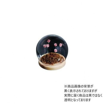 にんき 人気 おすすめ 定番 冬 春 孫 冬 新生活 ギフト 寒さ 対策 プレゼント Flower glass dome フラワーガラスドーム 41404