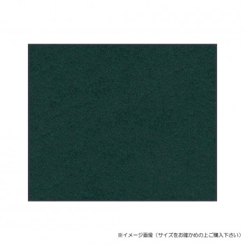 にんき 人気 おすすめ 定番 冬 春 孫 冬 新生活 ギフト 寒さ 対策 プレゼント (クリーンテックス) スタンダードマットS ダーク・グリーン 60×90 cm
