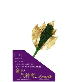 にんき 人気 おすすめ 定番 冬 春 孫 冬 新生活 ギフト 寒さ 対策 プレゼント A＆K 日本製プリザーブド 金の荒神松 gKJ-001