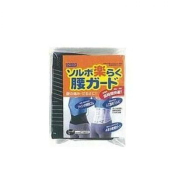 にんき 人気 おすすめ 定番 冬 春 孫 冬 新生活 ギフト 寒さ 対策 プレゼント ソルボ 楽らく腰ガード(レギュラー) M 63331・ブラック|創造生活館