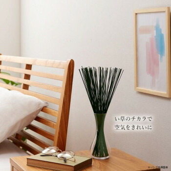 人気 おすすめ 定番 冬 新生活 ギフト 寒さ 対策 プレゼント フレグラス い草 置物 オブジェ 70cm 50g イエロー 1370040290504 インテリア | 関連単語 壁掛け 時計 ラグ ソファ 棚 シンプル 北欧 カーテン テーブル 木製 ナチュラル チェア ファブリック