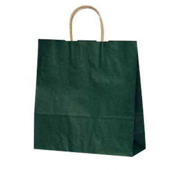 にんき 人気 おすすめ 定番 冬 春 孫 冬 新生活 ギフト 寒さ 対策 プレゼント 自動紐手提袋 T-6 カラー(緑) 1664 50枚 鞄 かばん | 関連単語 かわいい 高校生 ハンドバッグ ブランド 韓国 A4収納 小さめ 自立 出張 肩掛け ファスナー付き キャンバス