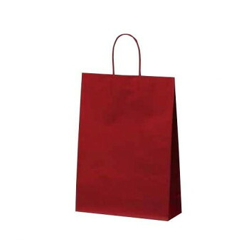 にんき 人気 おすすめ 定番 冬 春 孫 冬 新生活 ギフト 寒さ 対策 プレゼント マットバッグ(L)手提袋 ワイン 1062 10枚 鞄 かばん | 関連単語 出張 肩掛け ファスナー付き キャンバス レディース メンズ 通勤 リュック 大容量 軽量 トート ショルダー 防水