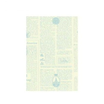 人気 おすすめ 定番 冬 新生活 ギフト 寒さ 対策 プレゼント 小袋(平袋) リブル 6号 アクア 2970 50枚