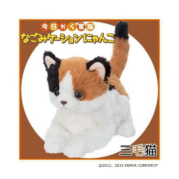 新版 ぬいぐるみ ギフト人気 おもちゃ 電動ぬいぐるみ 今日から家族 なごみケーションにゃんこ 三毛猫 商品 日用雑貨 父の日 送料無料 Www Dgb Gov Bf