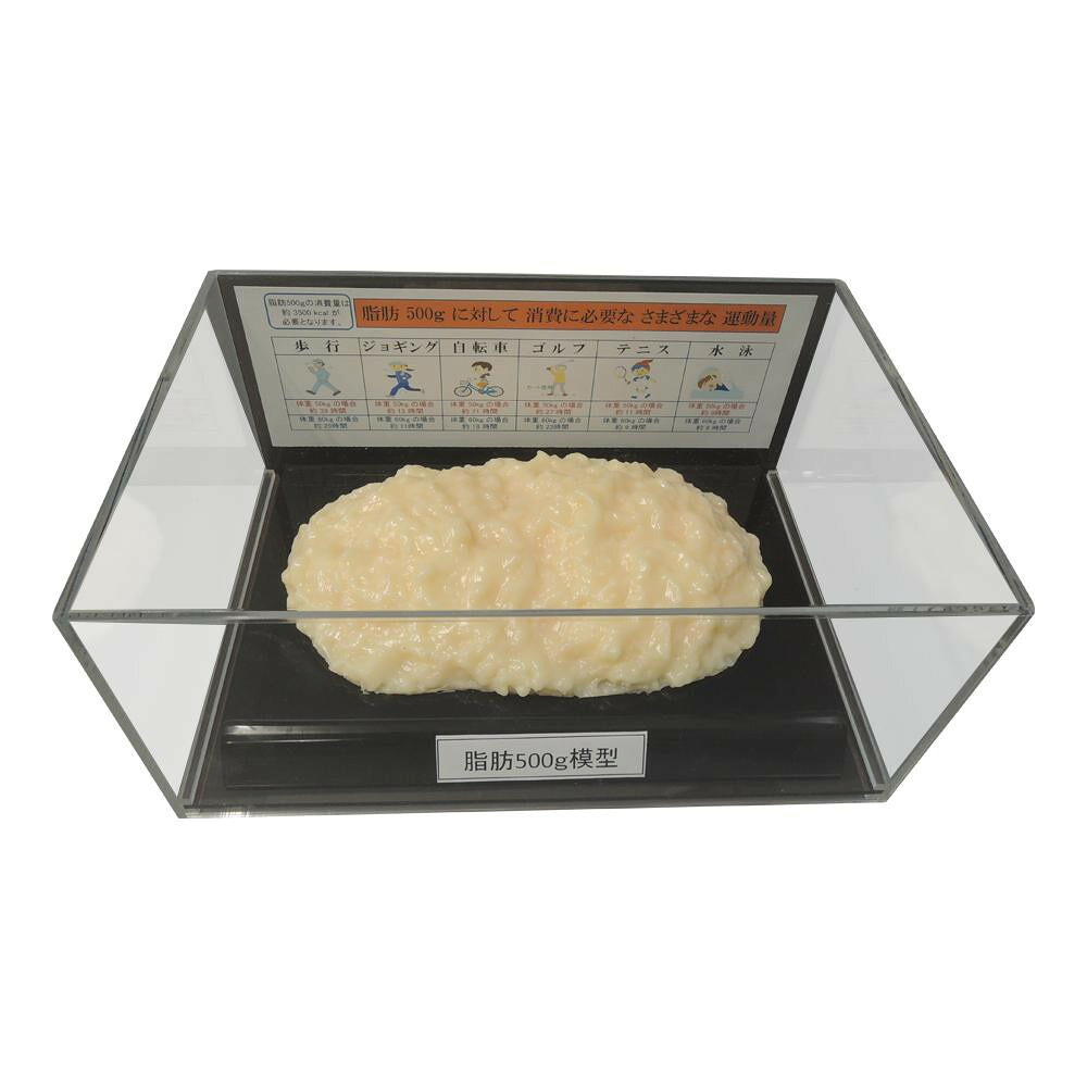 プレゼント オススメ 父 母 日用品 脂肪模型フィギュアケース入 500g IP-977 送料無料 お返し 贈答品