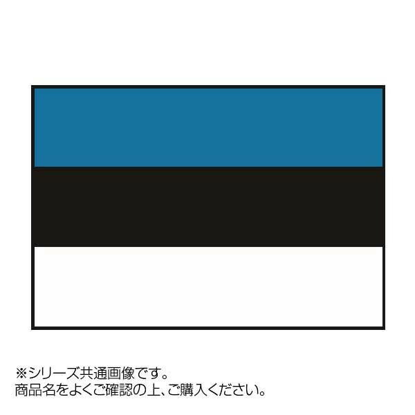 応援時などにもおすすめです 生産国:日本 素材 材質:エクスラン 商品サイズ:90×135cm 交換無料！