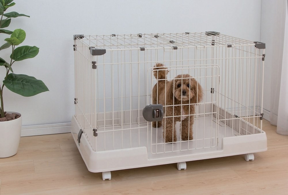 生活用品