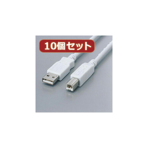 一般受け にんき ninnki 御歳暮 でき事 みやげ 御挨拶 お得 な貨物輸送 おみやげ 差し上げ物 クリスマス お歳暮 【10個仕掛ける】 フェライト内蔵USB有線テレビ USB2-FS05X10 一般受け 商いもの