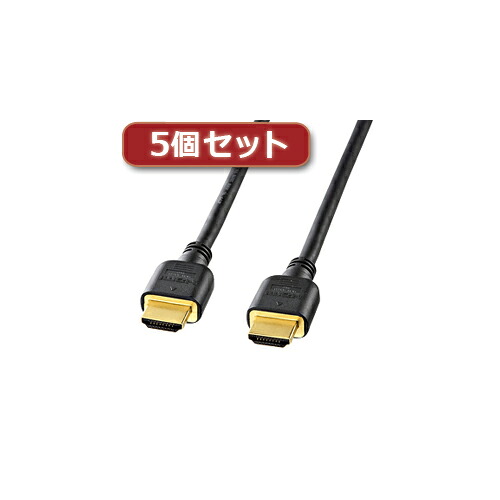 一般受け にんき ninnki 御歳暮 でき事 みやげ 御挨拶 お得 な貨物輸送 おみやげ 差し上げ物 クリスマス お歳暮 アイディアグッズ 助けになる グッズ 5個仕掛ける サンワサプライ ハイスピードHDMI有線テレビ KM-固定ディスク20-30HX5 一般受け