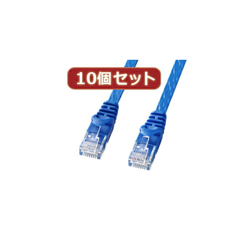 人気 にんき ninnki 御歳暮 イベント みやげ 挨拶 お得 な送料 おみやげ 贈り物 クリスマス お歳暮 パソコン 10個セットサンワサプライ カテゴリ6フラットLANケーブル LA-FL6-10BLX10 おすすめ 14,740円