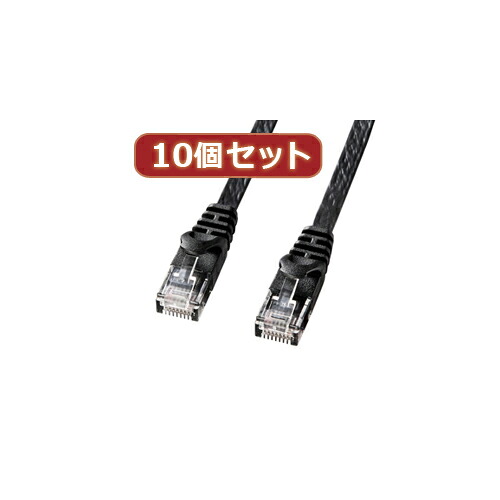 2025 クリスマス スマホ pc 設備 一部分 入れもの 照明ランプ 付属品 部分品 二十日鼠 パッティング WEB ローカルエリアネットワーク ルータ  デジタルかかわり合い  | 10個仕掛けるサンワサプライ 科目6平ったいローカルエリアネットワーク有線テレビ 天使の都市-FL6-02BKX10