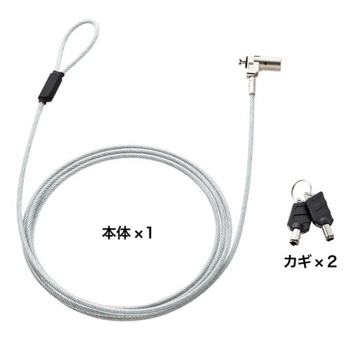 クリスマス スマホ pc LAN デジタル パット 情報 スタンド ケース ルーター 周辺 スマホ パーツ アクセサリー  デジタル関連  | サンワサプライ 超小型シリンダセキュリティ eセキュリティ 鍵No.1  SLE-25S-1