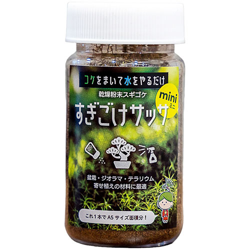 おすすめ 寒さ 打つ手 差し上げ物 一般受け 差し上げ物 冬 差し上げ物 定番 差し上げ物 卒 はいり込む 引っ越し 【5個仕掛ける】 ビックアロー かわき切る細末スギゴケ すぎごけサッサmini bigarrow-sugigokeminiX5 類概念（苑地 花 観葉草木 DIY 苔テラリウム）