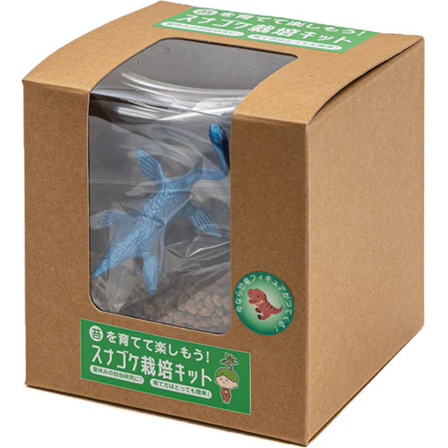おすすめ 寒さ 打つ手 差し上げ物 一般受け 差し上げ物 冬 差し上げ物 定番 差し上げ物 卒 はいり込む 引っ越し 【5個仕掛ける】 ビックアロー スナゴケ作りだす一揃いの道具 bigarrow-saibaikitX5 類概念（花 苑地 DIY 苔テラリウム 観葉草木）