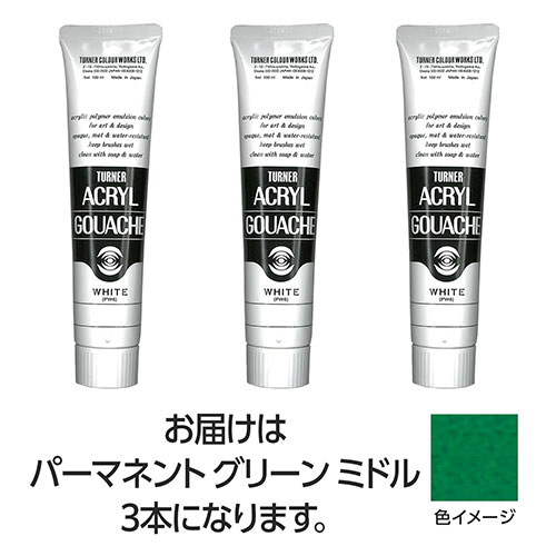 ターナー色取り アクリル繊維ガッシュ 100ml 43常しなえGR真っただ中 3個 TURNER108597  文具 備え付け|  かかわり合い言葉 かっ飛ばす 第八芸術 芸術 オレンズ  ネロエナージェル 水彩画 色 クレヨン 筆 ペンケリー えんぴつ 執務室 事務 設備 学用品 書きとどめる 名刺 万覚え帳 截断機 テープフ