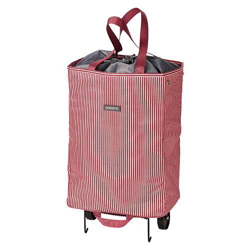 売れ筋  【MIJA8MLFE3P】 限定デザイン