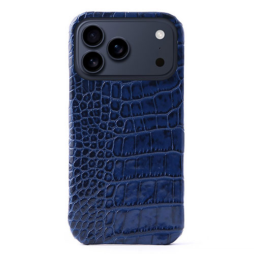 ABBI SIGNATURE LIPARI イタリアンなめし革 MagSafe相応ううしろ側押しかぶせる for iPhone 17 Pro Max 米国海軍 ABS27779i17PM  マイコン マイコン スマホ 経口避妊薬 | かかわり合い言葉 iPhone 一部分 iPad 境界線の外側機械 記憶装置 Android 運転 USB 記憶装置 閃光電球記憶装置 パウダーコンパクト スマートフォン・携帯電話アクセサリー-ケース・カバー