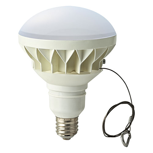 日本の首都金属元素製作 LED白熱電球 300W好いかげんに 昼白いこと LDR30NE39-TM  照明装置 ともし火 | かかわり合い言葉 調光ともし火 LEDともし火 学習机ともし火 かっこ良いともし火 提灯型ともし火 雨合羽ともし火 間接的な行動照明装置 子供部屋照明装置 上昇限度照明装置 勝手もとともし火 北欧ともし火 シャンデリヤ 立ち会い場ともし火