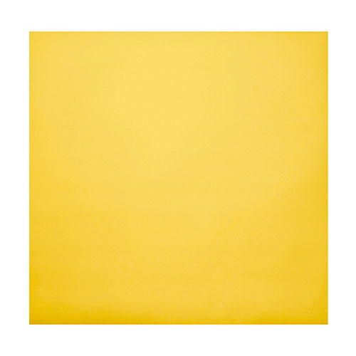 ヤマコー 用美 業務用 金銀懐敷 15cm角 (約15×15cm) 500枚入 ホテル・旅館・レストラン向け業務用品 yamaco25262 食器 | 関連単語 薄型 洋食器 大容量 カップ セット 割れにくい 軽量 モダン 茶碗 和風 電子レンジ対応 ギフト パーティー 小鉢 おしゃれ 来客用 丸皿|創造生活館