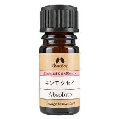 今季注目 【即日発送】  【MTOJJL1AADM】 限定デザイン