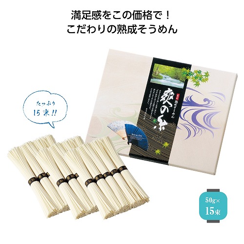 【4/15日限定　全品ポイント2倍】古式熟成そうめん　爽の糸15束（20個） 23538【同梱不可】