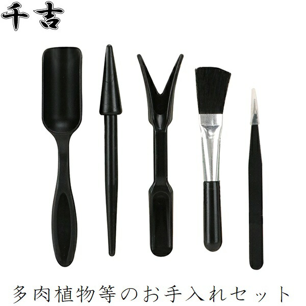 楽天市場】千吉 多肉植物 観葉植物 プランツ お手入れセット 5点セット