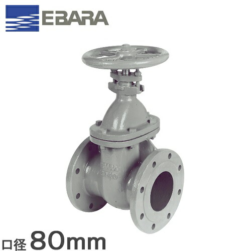 楽天市場】【送料無料】荏原ポンプ ステンレス製 フート弁 フランジ形