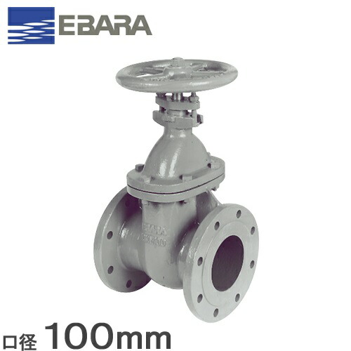 楽天市場】【送料無料】荏原ポンプ ステンレス製 フート弁 フランジ形