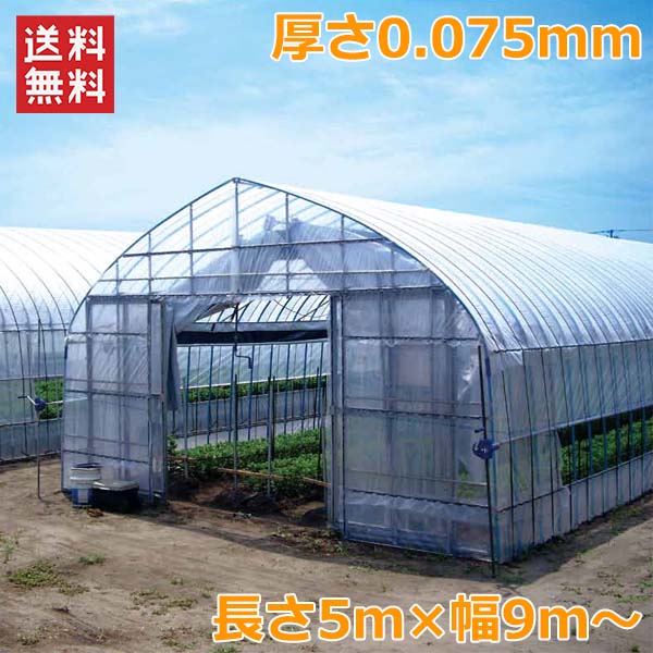 新品】天井POフィルム（スカイコート）740cm✕35m