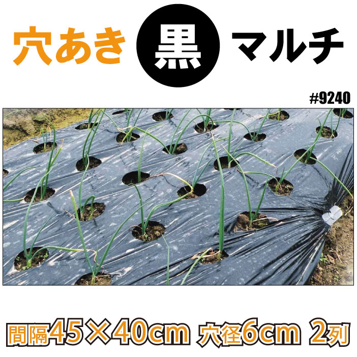 農業用マルチシート 穴あき防草マルチ 5列45 1×50m 2巻1組 農用 マルチング 防草シート 被覆資材 ポリプロピレン 防草 透水 地温上昇 国華園 : 農業マルチ 防草シート 国華園 穴あき防草マルチ 7列45