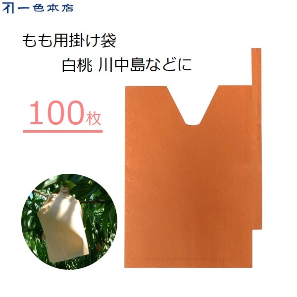 新鮮な桃 袋掛け栽培 たくさん入ってます6kg 新鮮な桃 袋掛け栽培 たくさん入ってます6kg - メルカリ