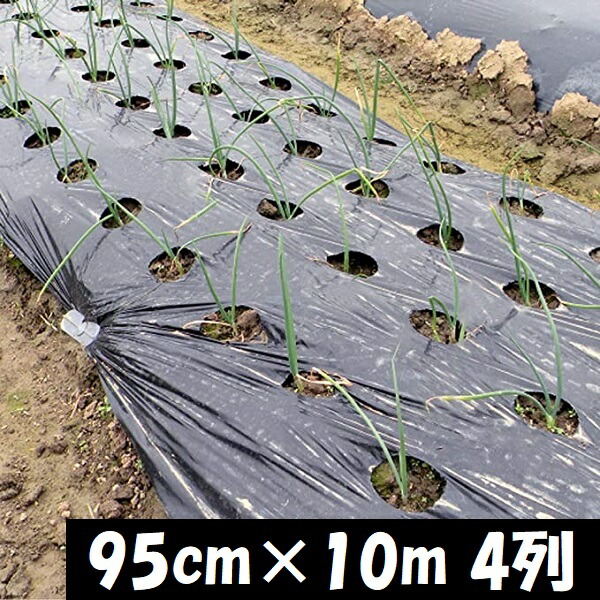 品質満点！ AINO 白黒マルチ 95cm×100m 厚0.025mm センターライン入 マルチシート 白マルチ 農業用ビニール 農業資材  雑草防止シート
