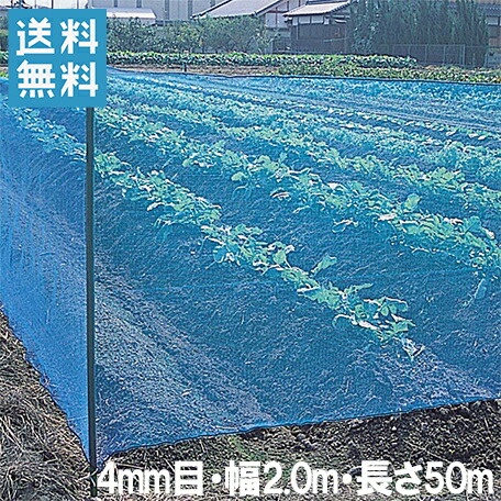 【法人様限定】防風ネット 網目4mm×2.0m×50m 風よけネット 防風網 園芸ネット 風よけ 防風 防砂 防塵 農業資材 農業用品 園芸用品 青