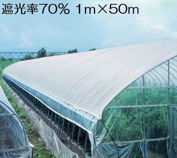 楽天市場 遮光ネット 白 1m 50m 遮光率40 農業用遮光シート 日よけ 日除け 農業用ネット ｓ ｓ ｎ