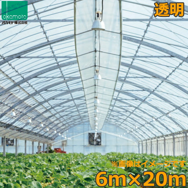 ビニールハウス 農ビ 透明 6×20m 0.1mm厚 トンネルシート フィルム ビニールハウス 防風 保温 風よけ 霜よけ