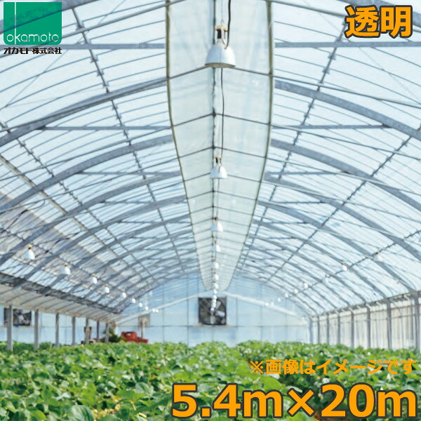 ビニールハウス 農ビ 透明 5.4×20m 0.1mm厚 農業用ビニール トンネルシート フィルム ビニールハウス 防風 保温 風よけ 霜よけ