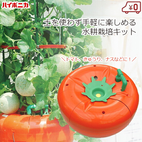 楽天市場】ハイポニカ 水耕栽培キット ホームハイポニカSarahプラス